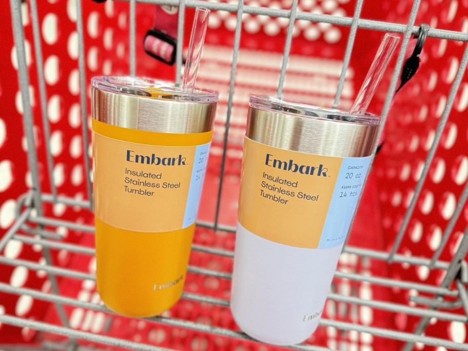 Embark 20oz Steel Straw Tumbler in 2 colors