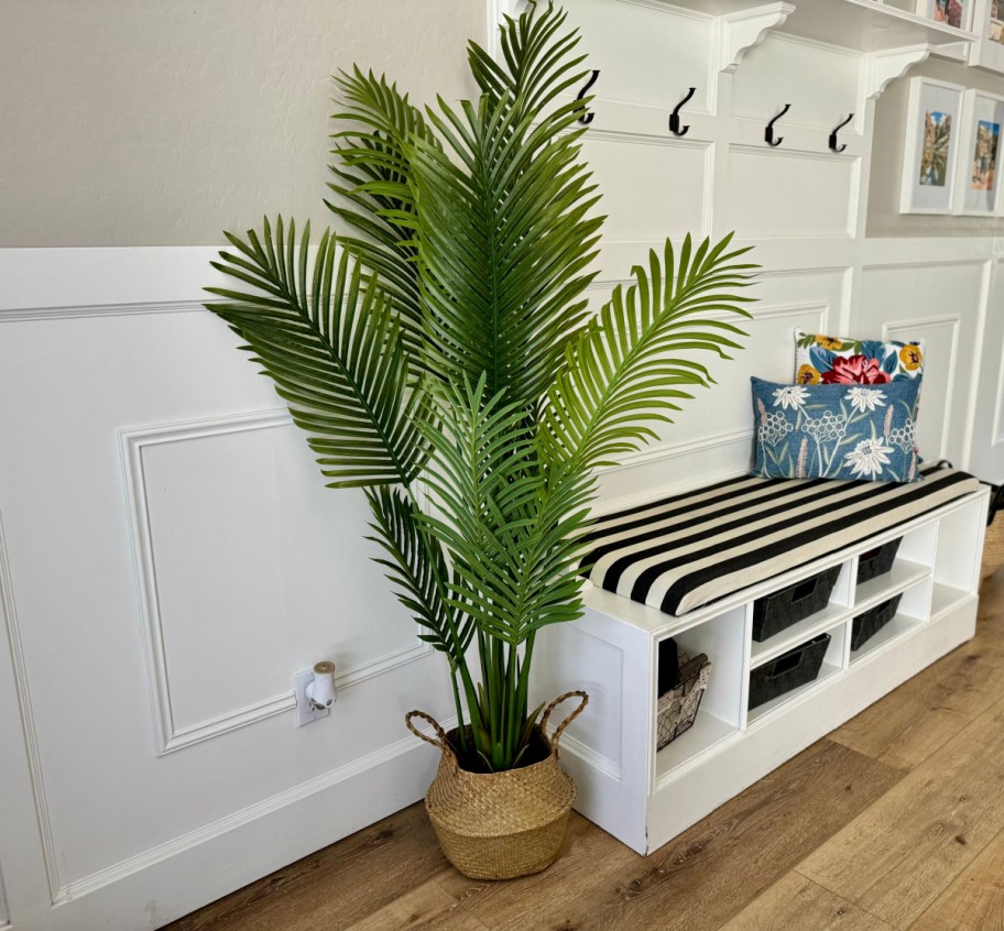 Foyer with a 5 foot tall plant from Walmart