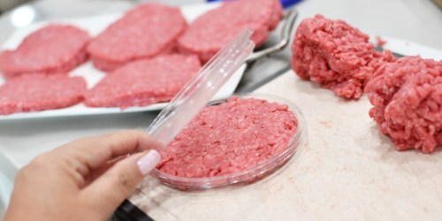 Make Perfect Burger Patties Every Time with These 5 Easy Tips!