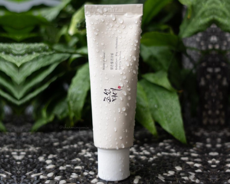 korean sunscreen in front of leaves 