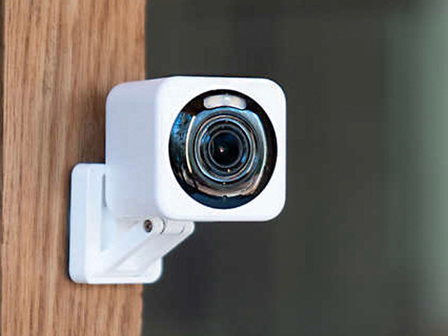 white wyze camera hanging on wood