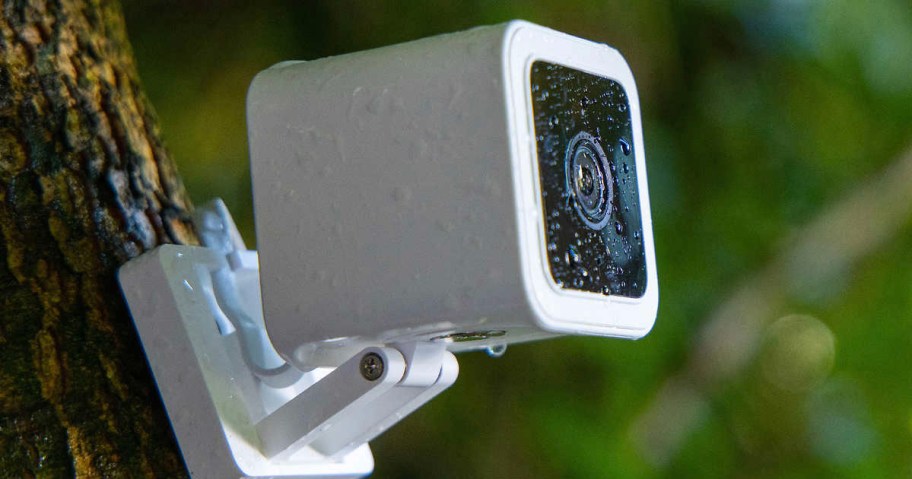 white wyze camera hanging on tree