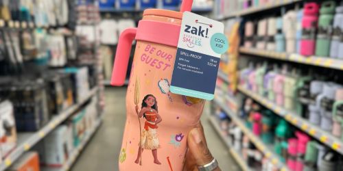 Zak Designs Character Tumblers from $12.98 on Walmart.com | Disney, Bluey, Barbie, & More!