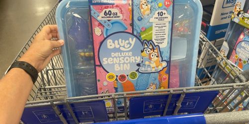 Bluey Deluxe Sensory Bin with Storage Case Only $19.94 on SamsClub.com