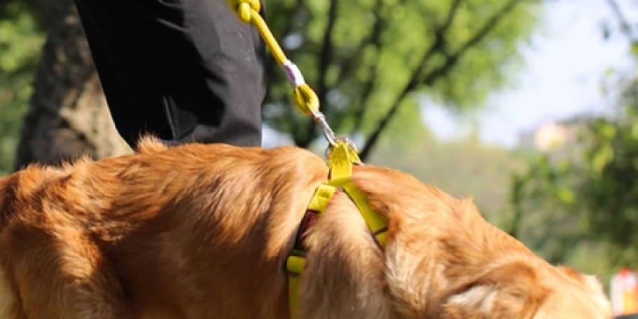 Dog Harness & Leash Set Only $5 w/ THREE Stackable Amazon Discounts