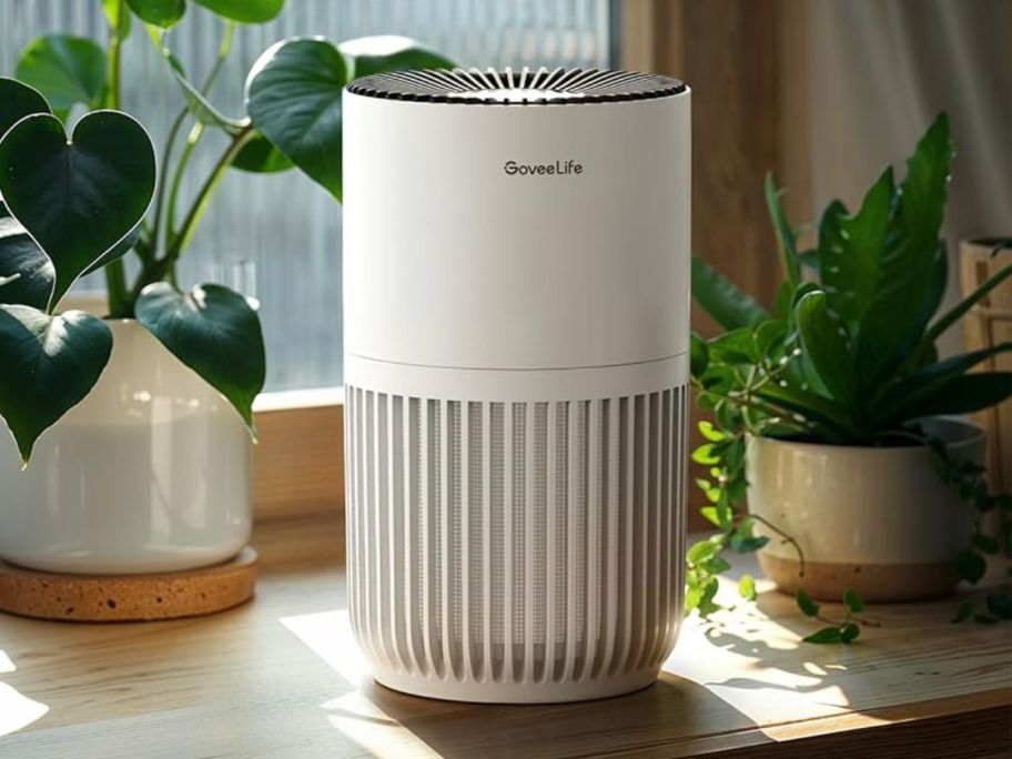 A Govee Mini Air Purifier