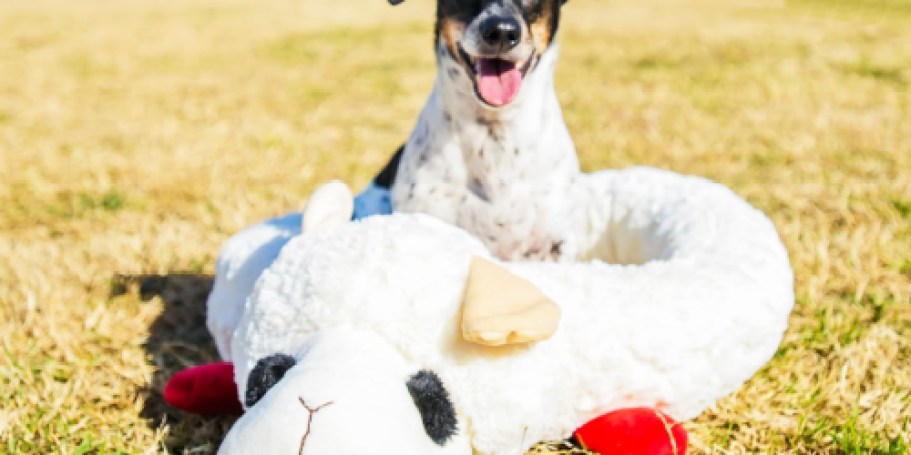 SO Cute! Lamb Chop Dog Bed Only $17 on Amazon (Reg. $29)
