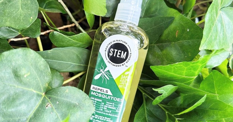 bottle of STEM Mosquito Repellent Spray in pile of green leaves