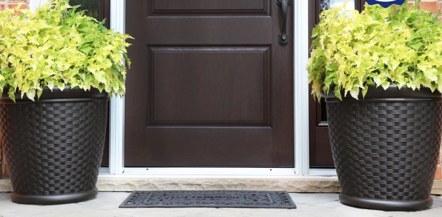 two large planters with green plants on sides of front door