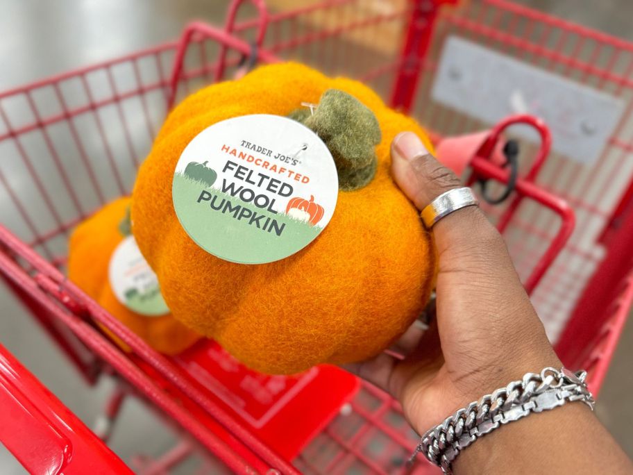 Trader Joe's Handcrafted Felted Wool Pumpkin in hand in store