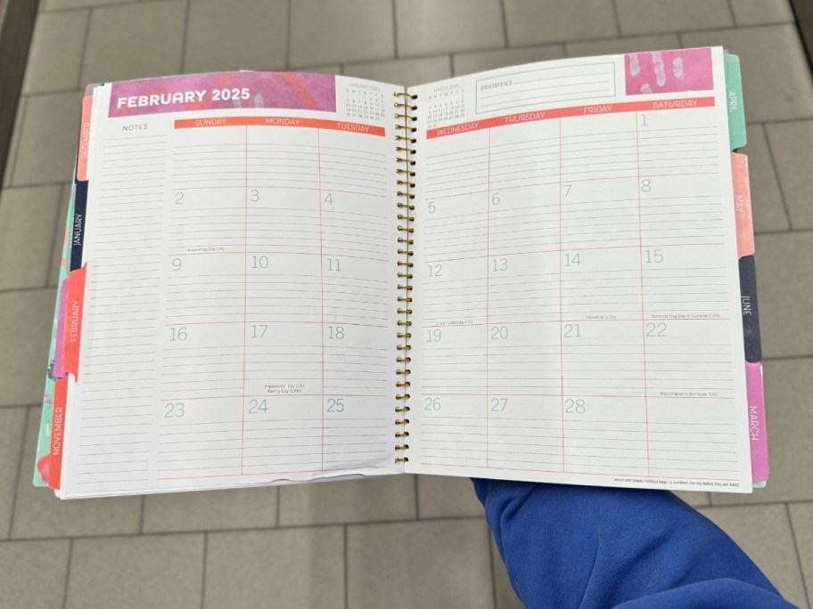 inside of the ALDI teacher planner showing a monthly lesson plan page