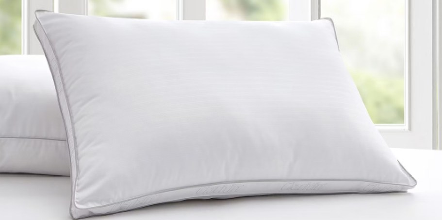 Claritin Anti-Allergy Pillows Only $19.99 on JCPenney.com (Reg. $54)