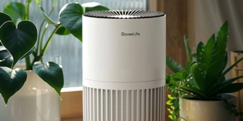 Smart Air Purifier Only $22.99 Shipped on Amazon | Works w/ Alexa & Google Assistant