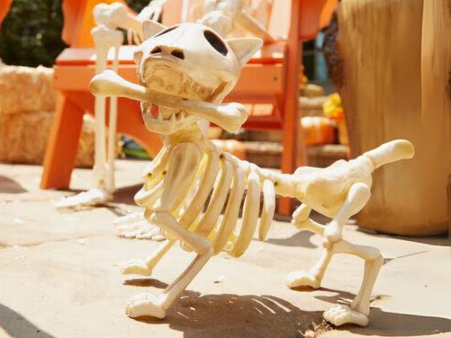 a Halloween decor skeleton dog with a bone in it's mouth