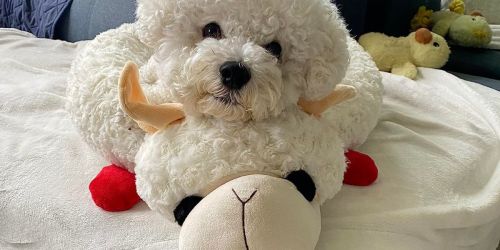 SO Cute! Multipet Lamb Chop Dog Bed Only $22.49 on Amazon (Reg. $40)