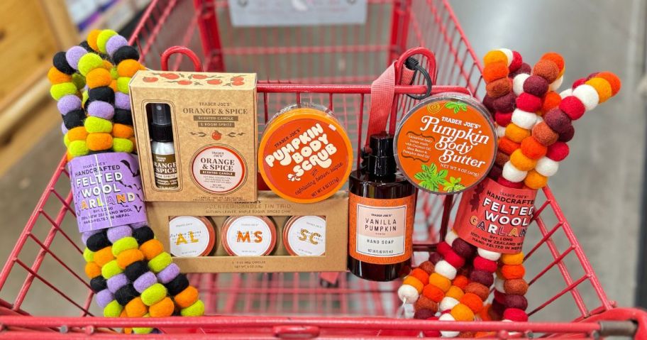 trader joe's fall items in cart in store