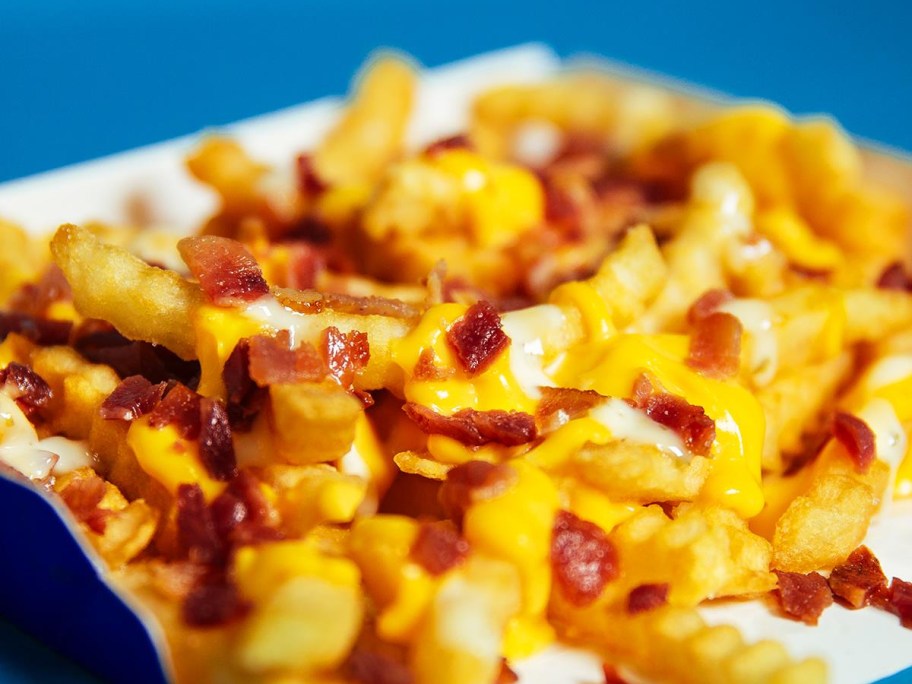 close-up view of cheese fries on a blue background
