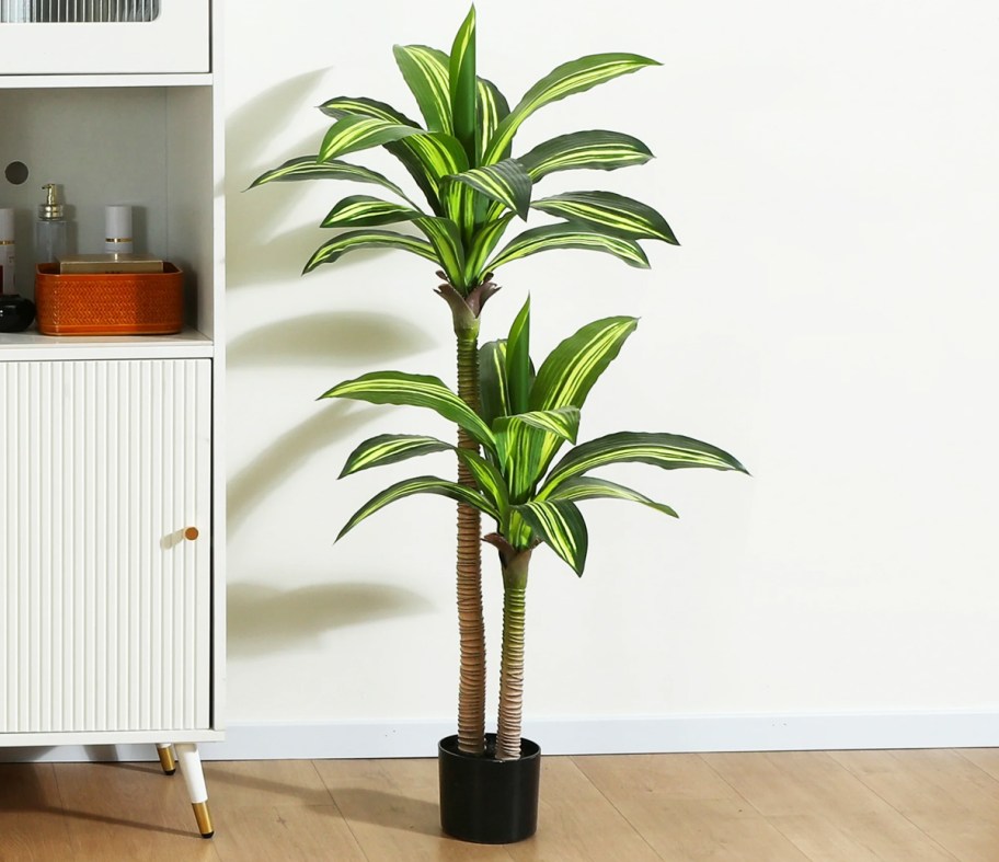 faux green Dracaena tree in black pot in living room