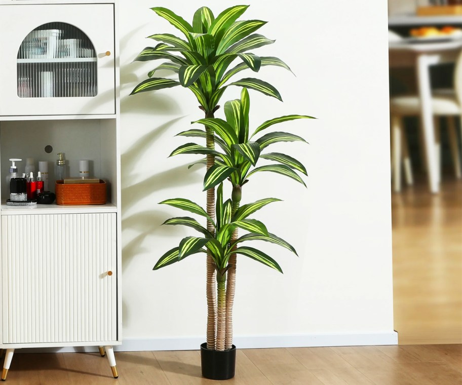 faux green Dracaena tree in black pot in living room