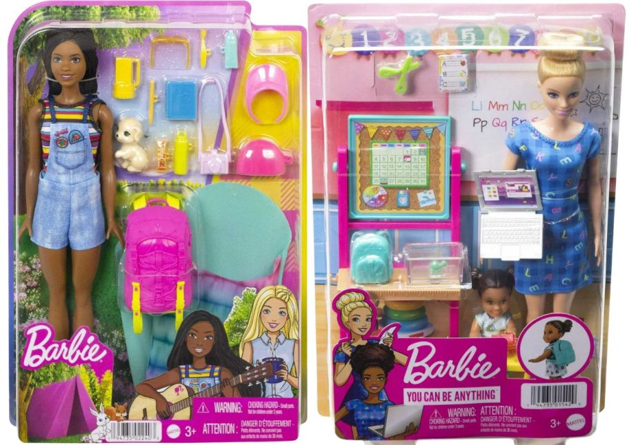 Barbie Camping & Teaching Dolls