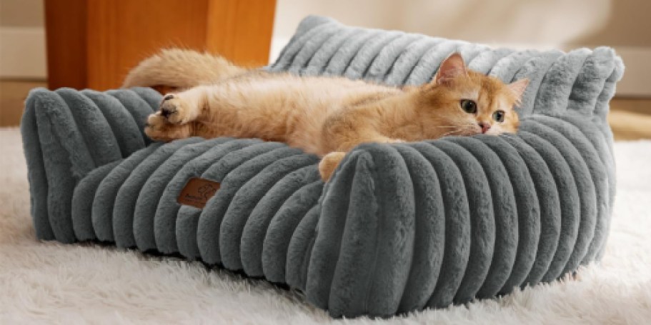 Cat Couches UNDER $40 on Amazon (See Our Top 3 Picks!)