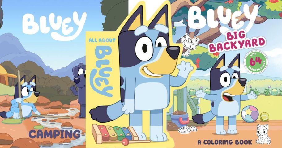 Bluey Books Camping, All About Bluey, & Big Backyard