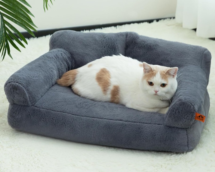 Cat sleeping in a Hollypet Cat Couch from Amazon