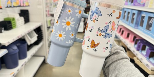 Stainless Steel Tumblers Only $5.55 at Five Below (Similar to Stanley BUT $40 Less!)