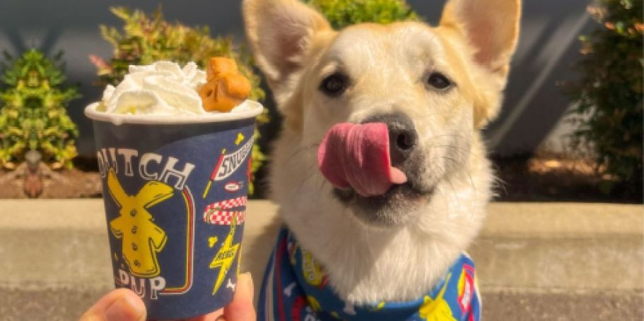 Score a FREE Pup Cup & Dog Bandana w/ Dutch Bros Drink Purchase (Starts at 5 PM)