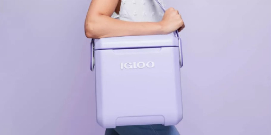 Igloo Tag Along Hard Side Coolers Only $35.99 Shipped on Target.com (Reg. $50)