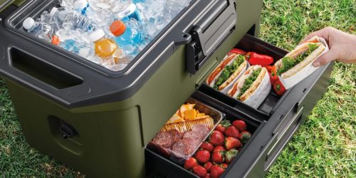 Rare Discount on Ninja FrostVault Coolers + Free Shipping (Built-In Drawer Keeps Food Cold AND Dry!)