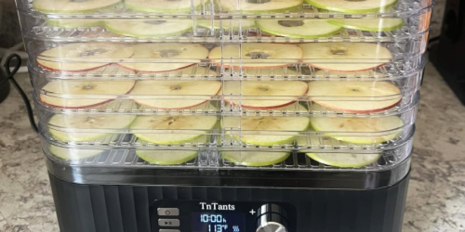 10-Tray Food Dehydrator Just $59.99 Shipped on Walmart.com (Regularly $100)