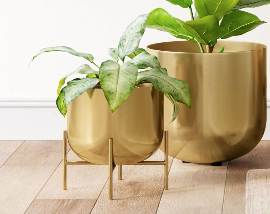 a plant in a brass stand planter, next to a plant on a large brass planter