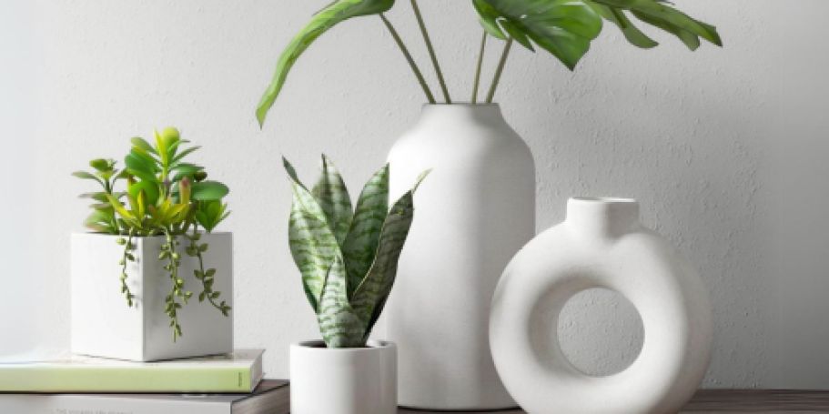 50% Off Home Decor on Target.com | Faux Plants, Vases & More from $2.50