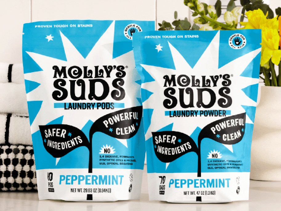 Two packets of Mollys suds detergent