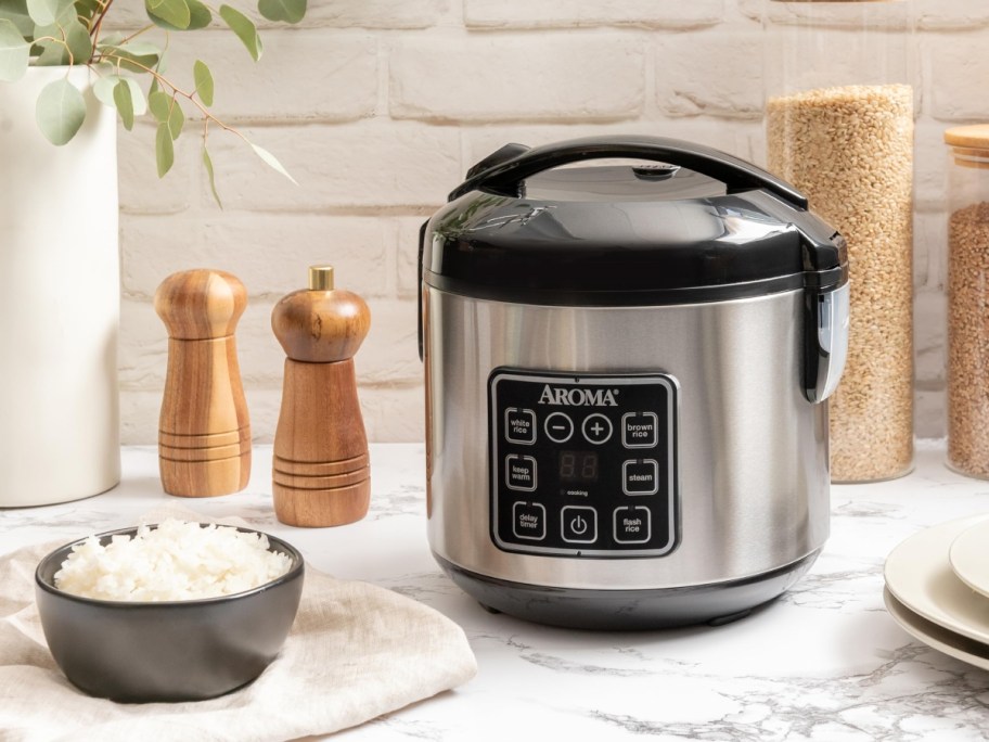 rice cooker on counter