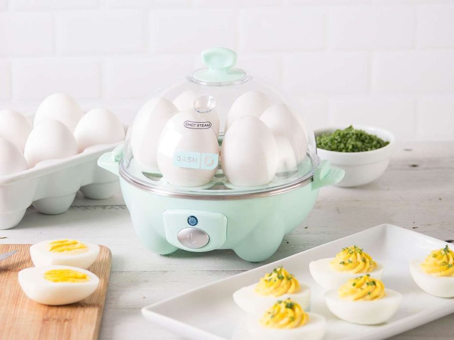 blue egg cooker with eggs on the side