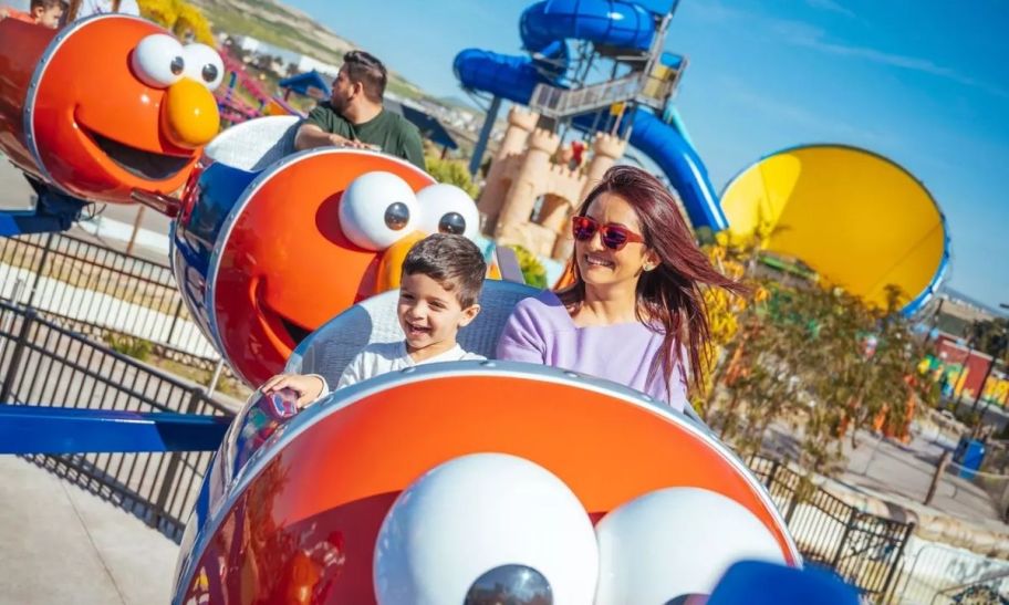 a mom and son on an amusement park ride