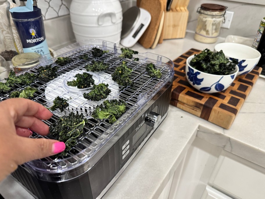 person putting kale on food dehydrator with bowl of kale next to it 