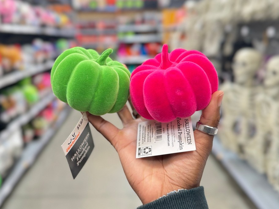 womans hand holding pink and green flcoked pumpkins