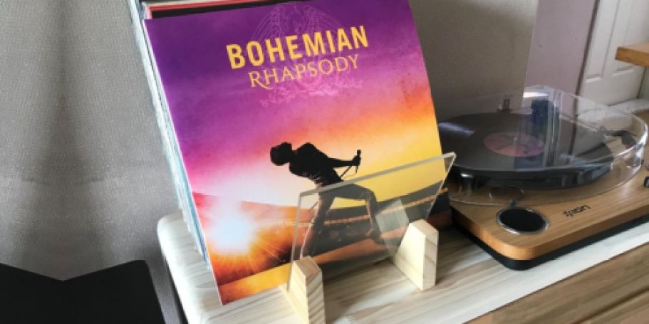 Vinyl Record Holder Just $16.99 on Amazon | Holds Up to 50 Albums!