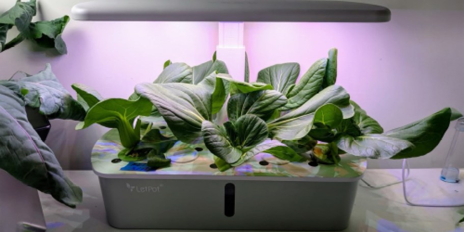 LetPot Hydroponics 10-Pod Garden System ONLY $39.89 Shipped on Amazon (Reg. $90)