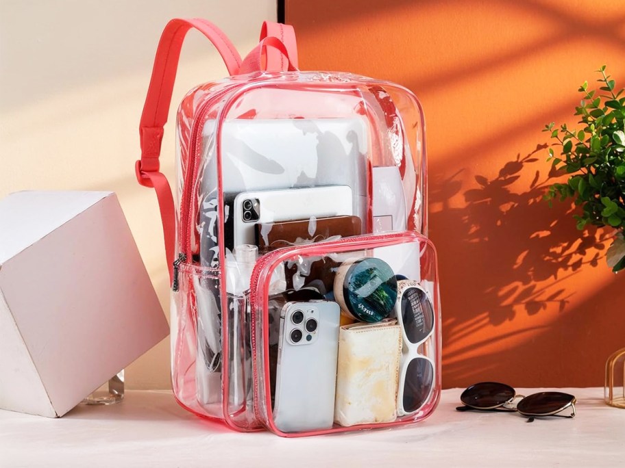 pink and clear backpack full of personal items