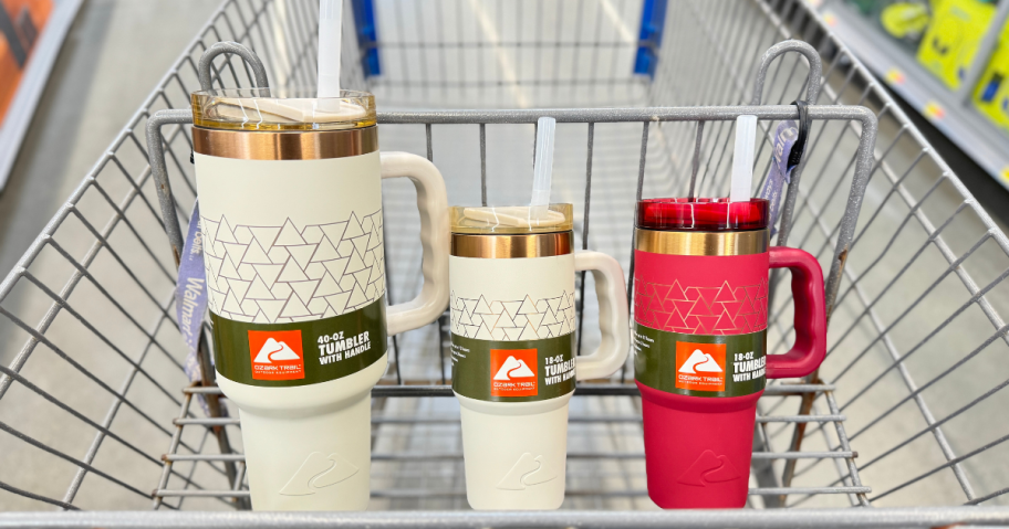 Ozark Trail Tumbler Holiday Prints