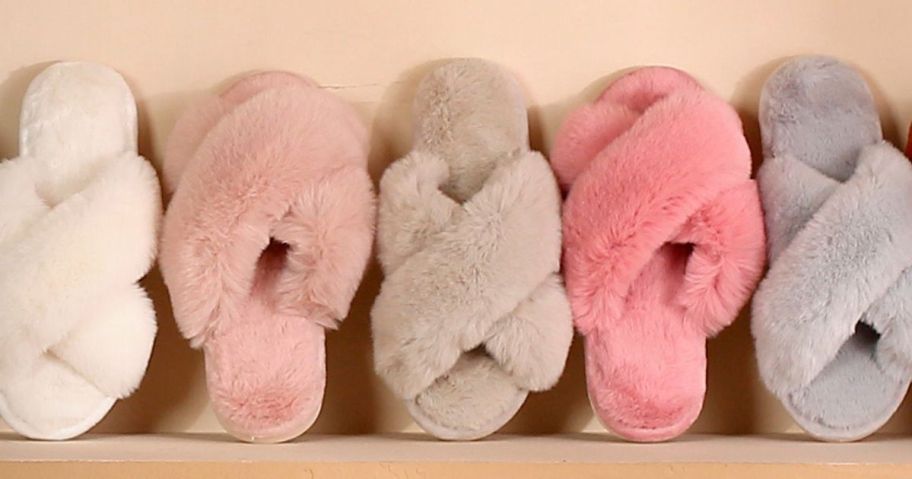 Five parlovable slippers lined up in different colors