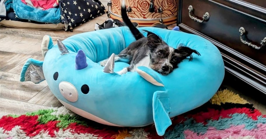 dog laying in a blue Squishmallows Pet Bed