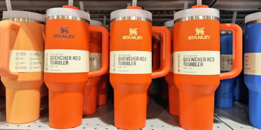 Dick’s Sporting Goods Stanley Sale | 40oz Tumblers Only $32.99 & More