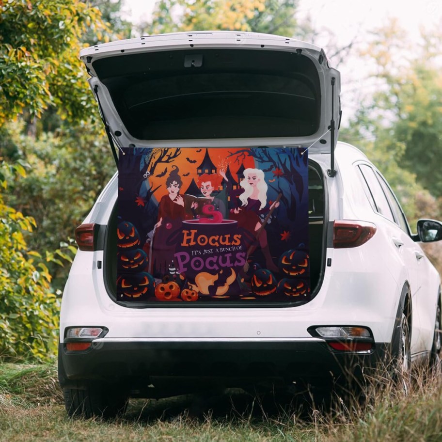 Car trunk with a Hocus Pocus trunk or treat kit from Amazon inside