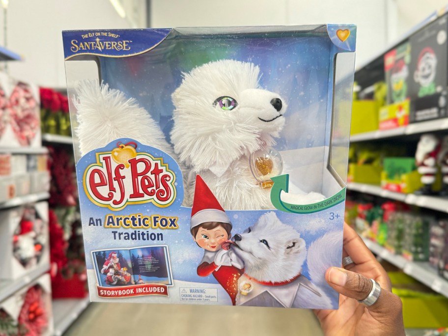 hand holding arctic fox box 