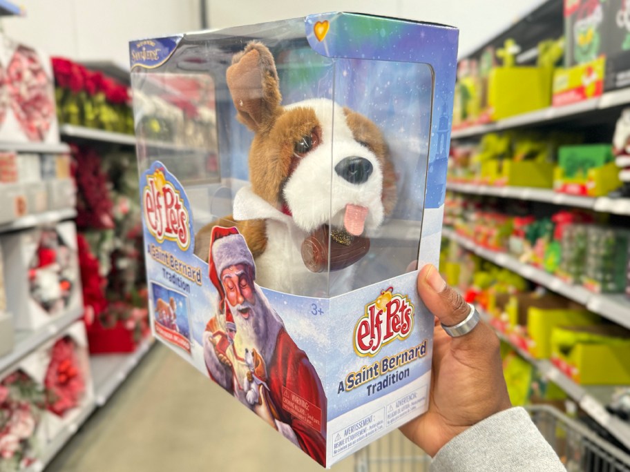 hand holding elf on shelf saint bernard box 